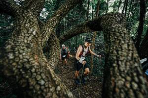 BIB: 
                            <button type="button" onclick="openModal(25392743)" class="btn btn-primary btn-sm float-right btn-popup" data-toggle="modal" data-target=".modal-high-quality">
                        <i class="fas fa-shopping-cart"></i> Add to Cart
                    </button>
                                            <button type="button" onclick="isThisMe(25392743, true)" class="btn btn-success btn-sm float-right btn-popup btn-isme hidden" data-toggle="tooltip" data-placement="bottom" title="นี่คือรูปของคุณใช่ไหม คลิกที่นี่เพื่อเอาเข้าอัลบั้ม">
                        <i class="fas fa-plus"></i> Add to album
                    </button>
                    <button type="button" onclick="isThisMe(25392743, false)" class="btn btn-warning btn-sm float-right btn-popup btn-isnotme hidden">
                        <i class="fas fa-ban"></i> Remove from album
                    </button>